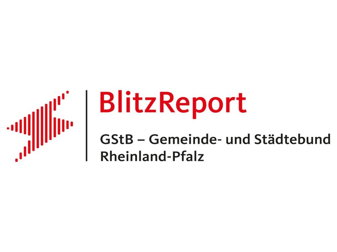 Logo BlitzReport