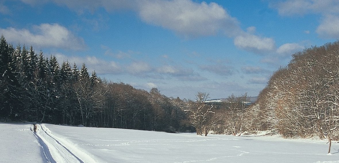 Winterliche Idylle bei Breitsesterhof – ein kleiner Weiler im Nordpfälzer Bergland zwischen Thal lichtenberg und Baumholder. Aufgrund des Landschaftsfaktors ist die Region sehr gut zum Bergtraining für Radsportler geeignet. / Foto: Bruno L. Klamm, Mannheim