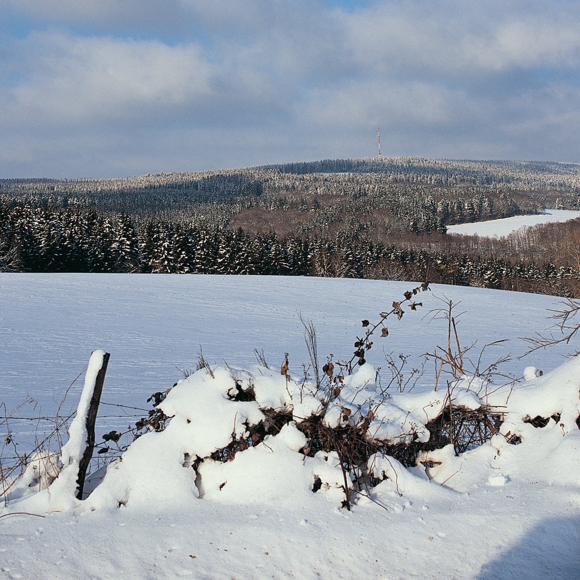 Idyllische Schneelandschaft bei in der Schneifel (Verbandsgemeinde Prüm), ein schmucker Eifelort mit zahlreichen Erhlolungsmöglichkeiten. © Bruno L. Klamm, Mannheim