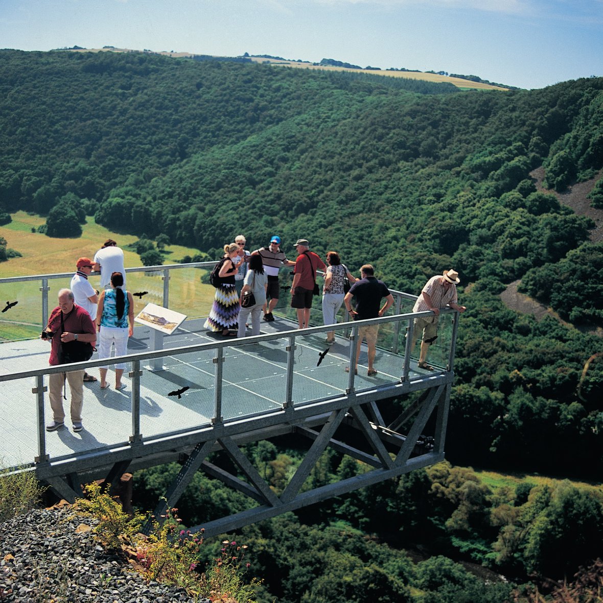 Der Nahe-Skywalk in Hochstetten-Dhaun (eröffnet am 20.1.2015) hat sich zu einem wahren Tourismusmagneten entwickelt. Die luftige stählerne Aussichtsplattform ist wie ein Balkon für das Nahetal. / © Bruno L. Klamm, Mannheim