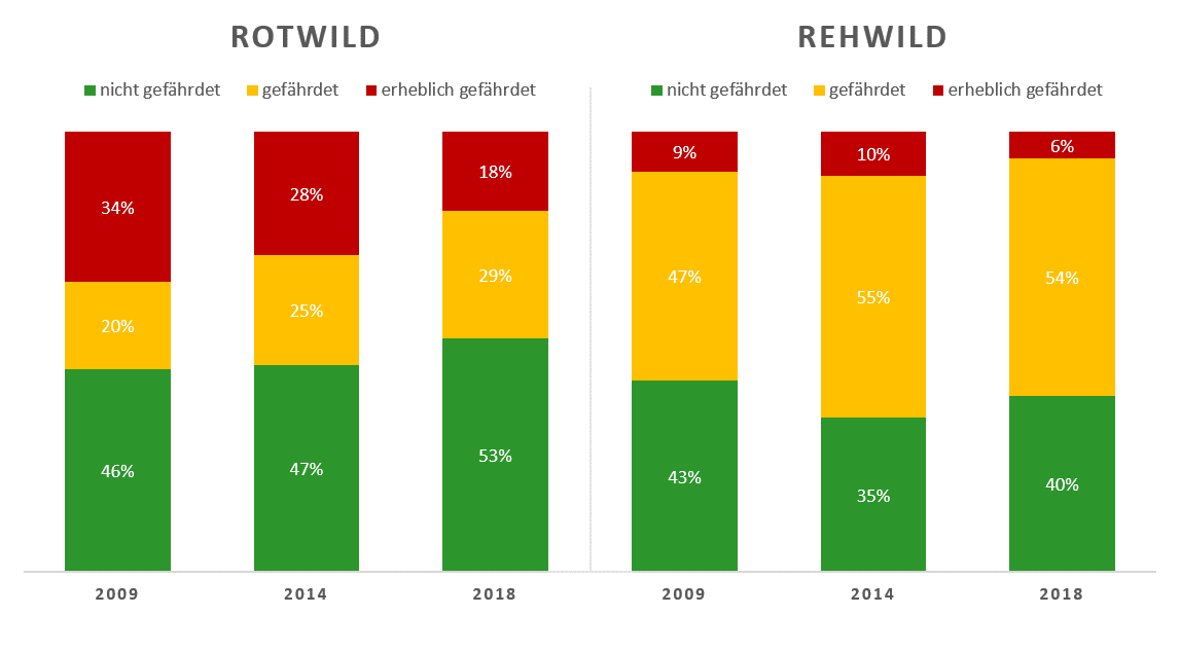Landesweite Ergebnisse der Forstbehördlichen Stellungnahmen zum Einfluss von Rot- und Rehwild auf das waldbauliche Betriebsziel in kommunalen Eigenjagdbezirken und gemeinschaftlichen Jagdbezirken (2009, 2014, 2018) jeweils in % der repräsentierten Waldfläche. Quelle: Landesforsten Rheinland-Pfalz.