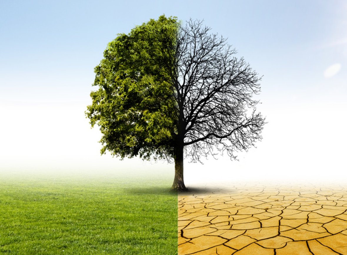 © nyul / fotolia.com